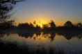 /album/fotogalerij-startpagina/leersumse-veld-jpg/